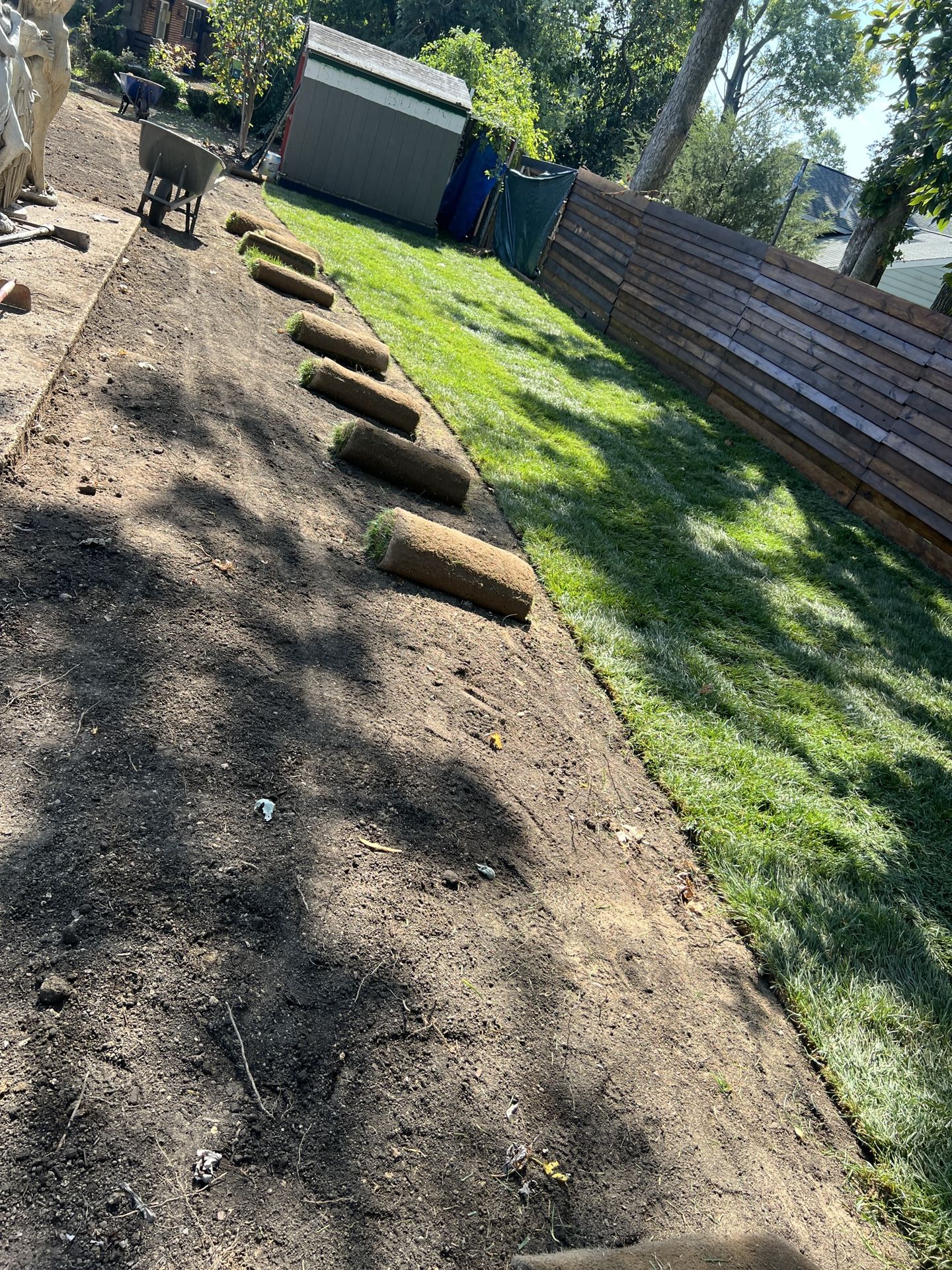 Fresh Sod