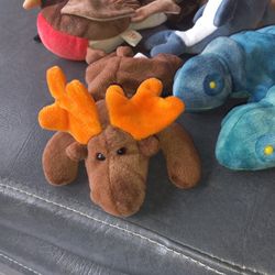 Beanie Babies Some Rare
