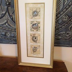 Framed Print - Seasonal Bird Nests 