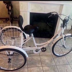 Adult Tricycle