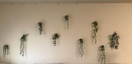 Wall Plant Terrariums