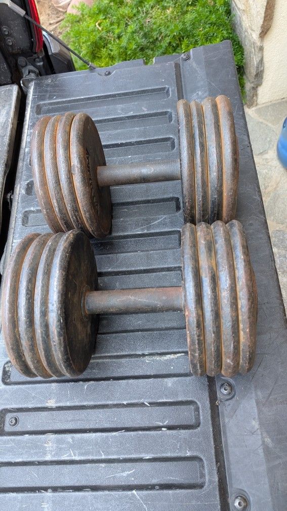 80 Lb Dumbbells