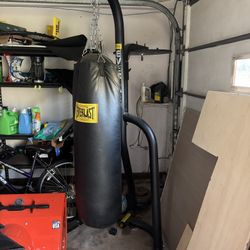 Punching bag 