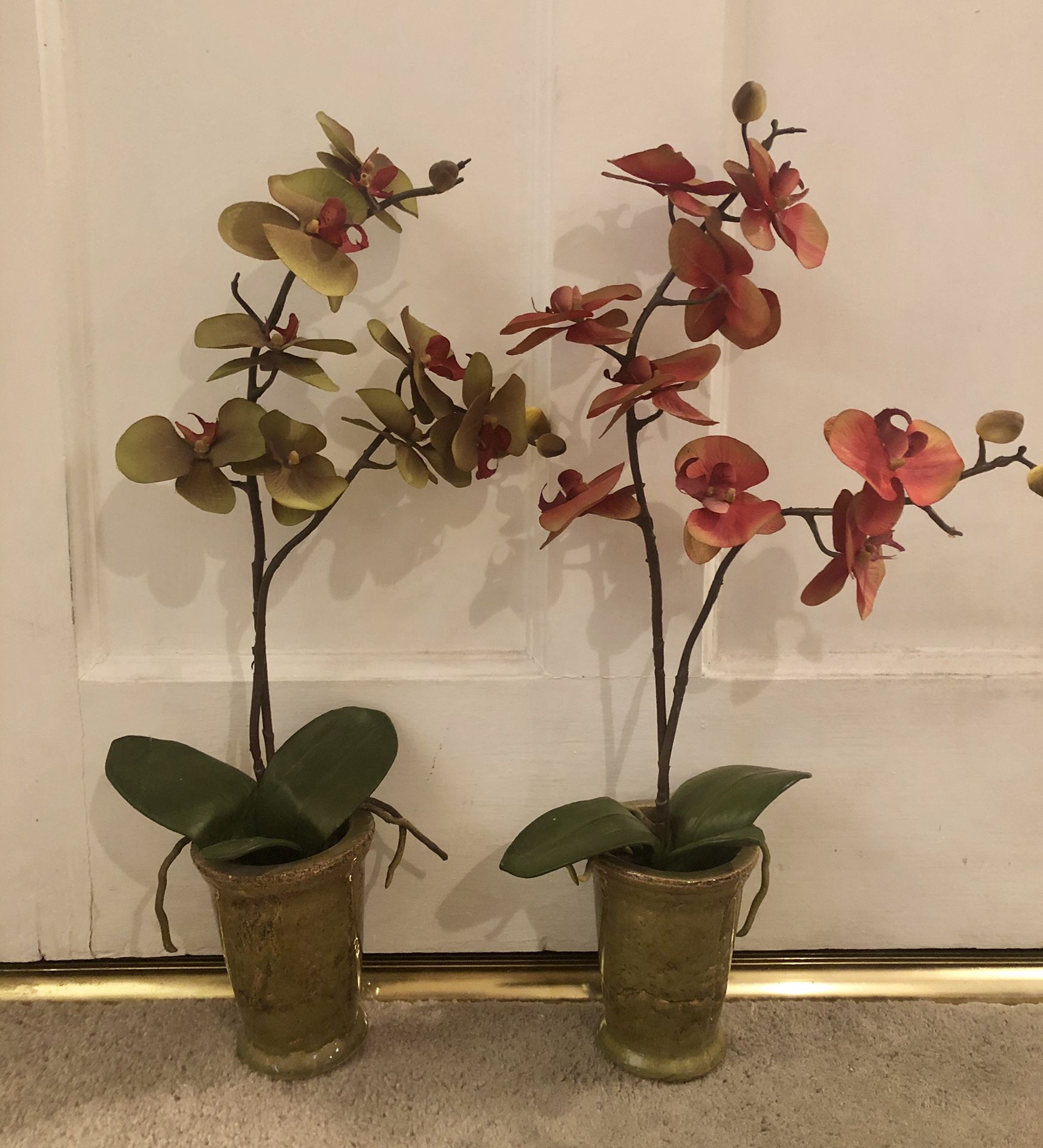 Two orchid silk plants