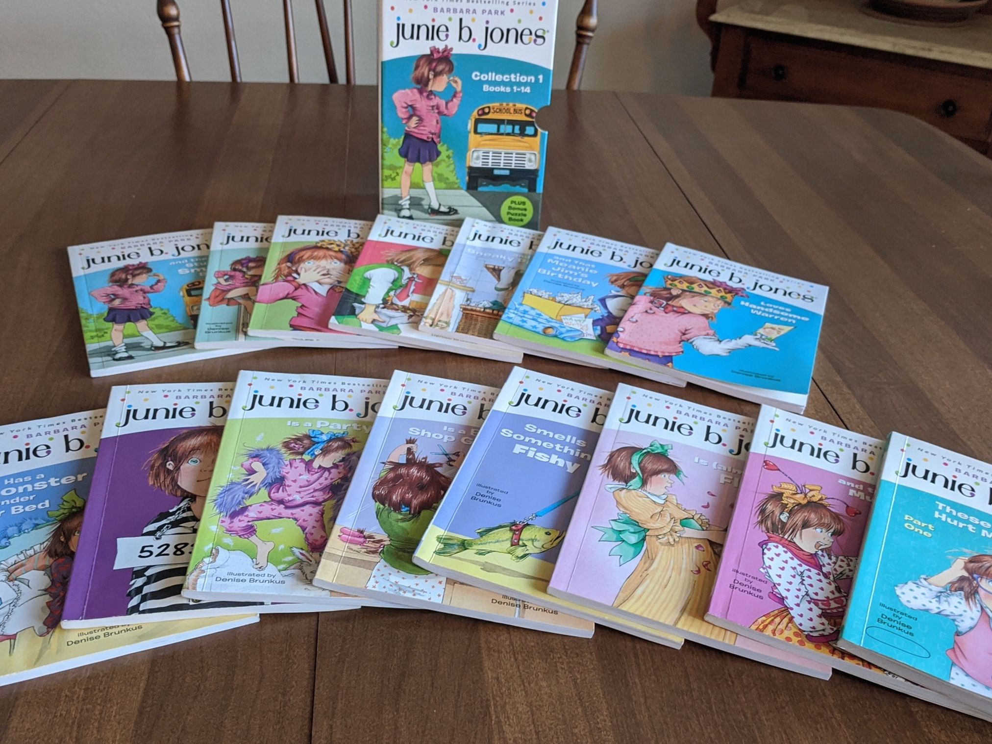 Junie B. Jones 15 Book Collection