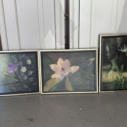 Pictures 