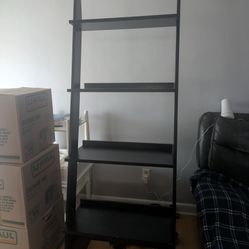 Ladder Shelf