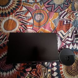 Computer Monitor 