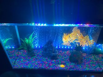 10 gallon fish tank aquarium with everything including bubble maker in back and under water led lights in back