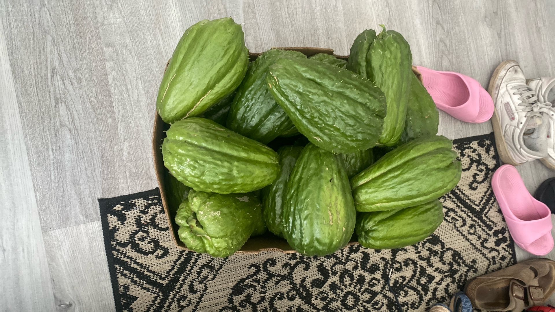 Chayotes Organic $2.5 Each 5 Inches 