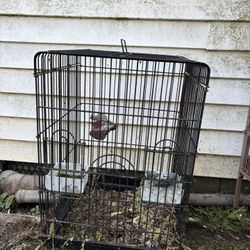Large Bird Cages Make An offer