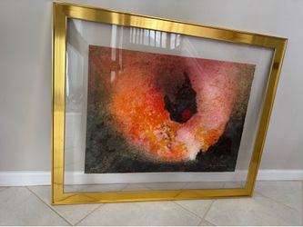 Baruch Salinas signed lithograph