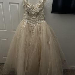 Champagne Quinceanera Dress 