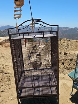 Bird cage