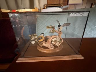 Display case