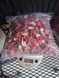 Hibiscus roselle sorrel