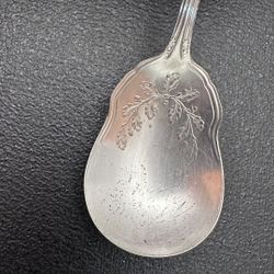 Elegant Antique Spoon with Floral Design