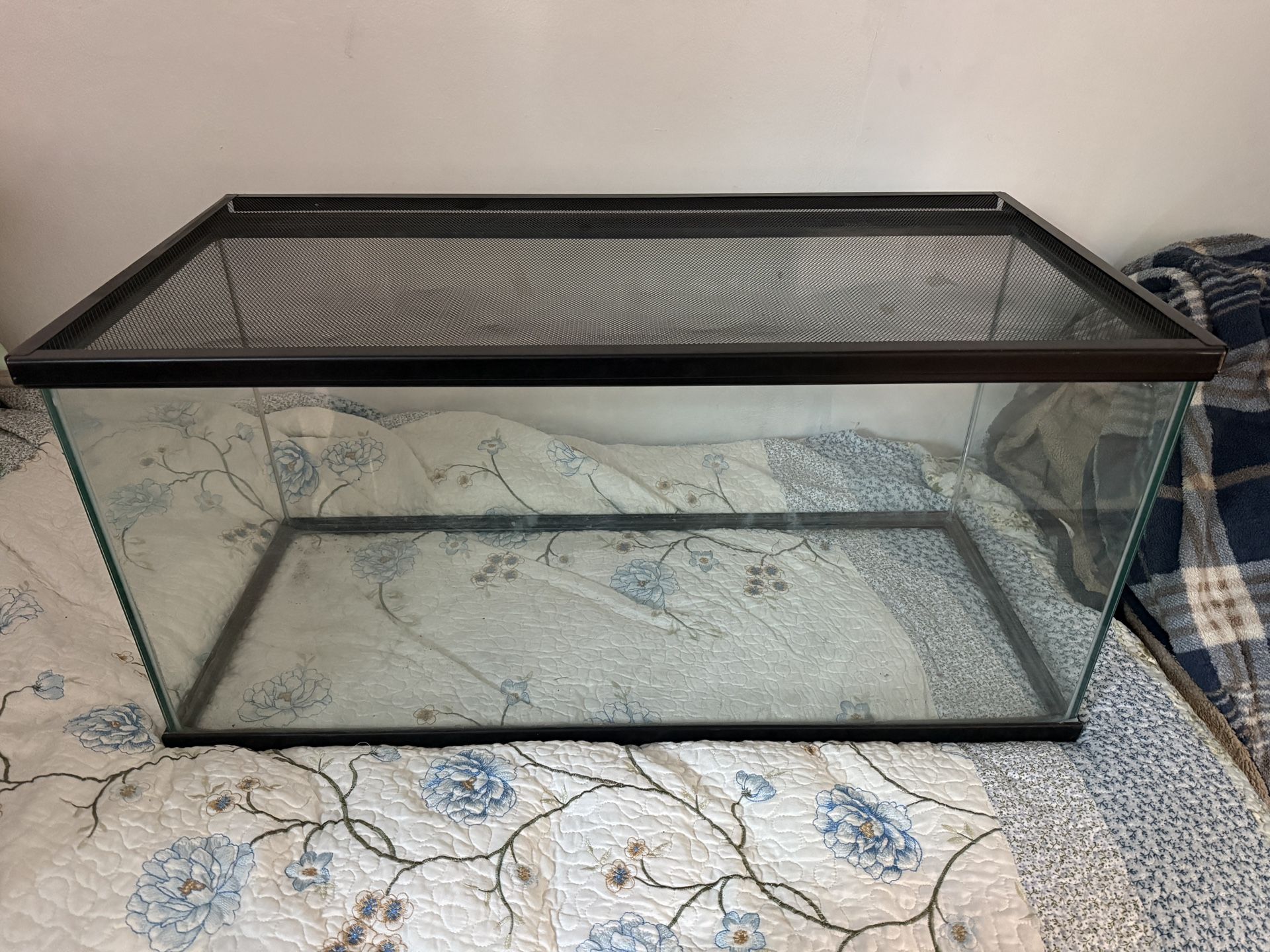 40 Gallon Fish/Reptile Tank