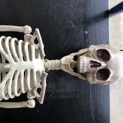 Skeleton, Halloween, 36”