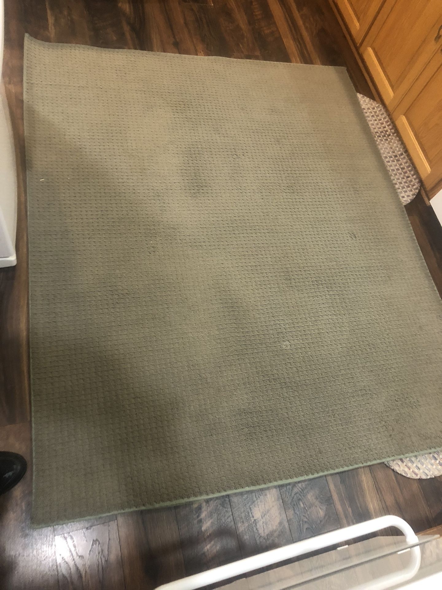 5x7 Area Rug $20