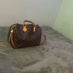 LV Bag 