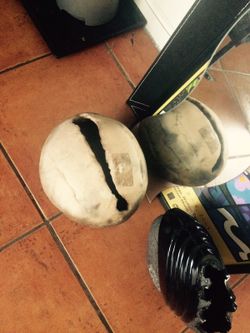 Egg shaped plant holder rare