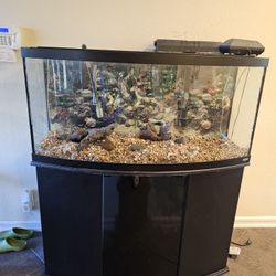 Used Show Tank and Stand