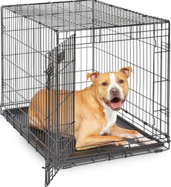 Intermediate 36 inch Crate