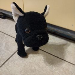 Walking And Barking Dog