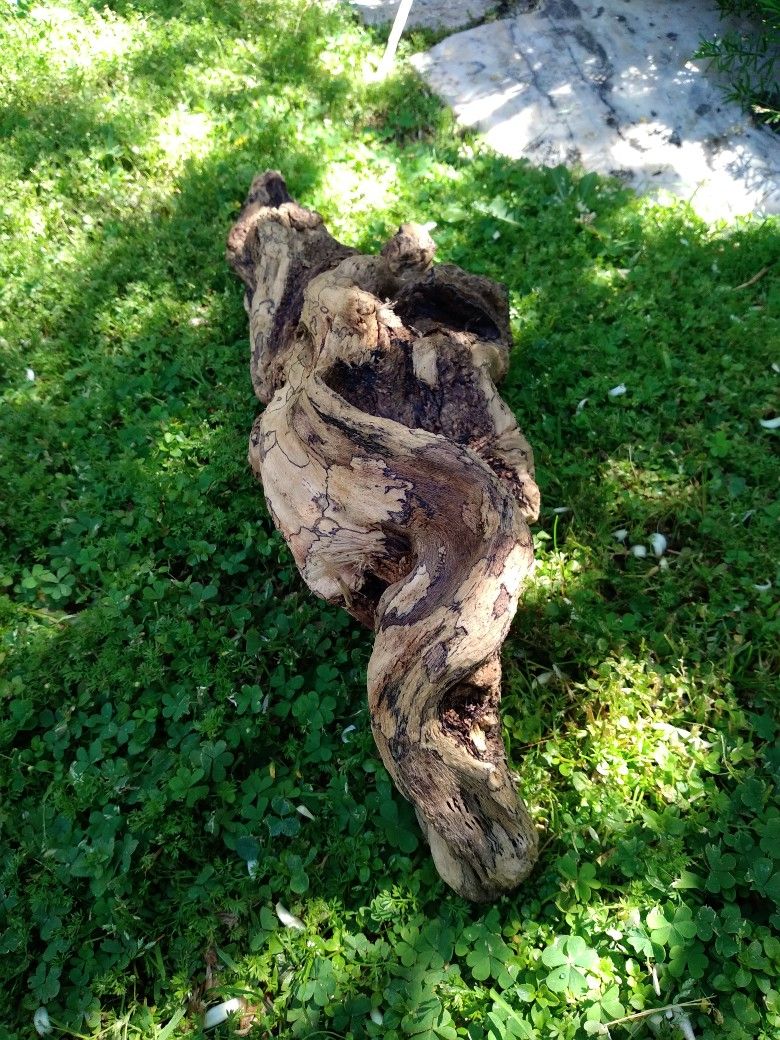 Natural Driftwood For Aquariums Terrariums Etc..