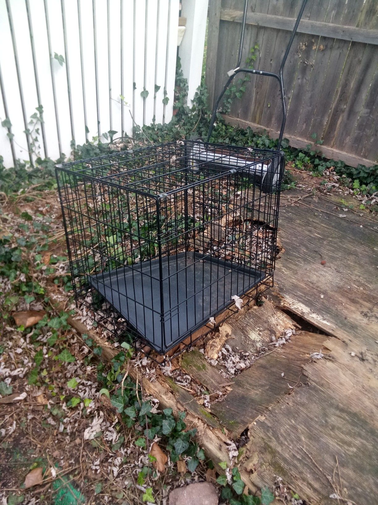 3 cages 1 medium and 2 small