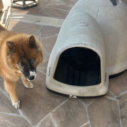 Xl Petmate Indigo Dog House 