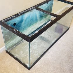 Fish Tank