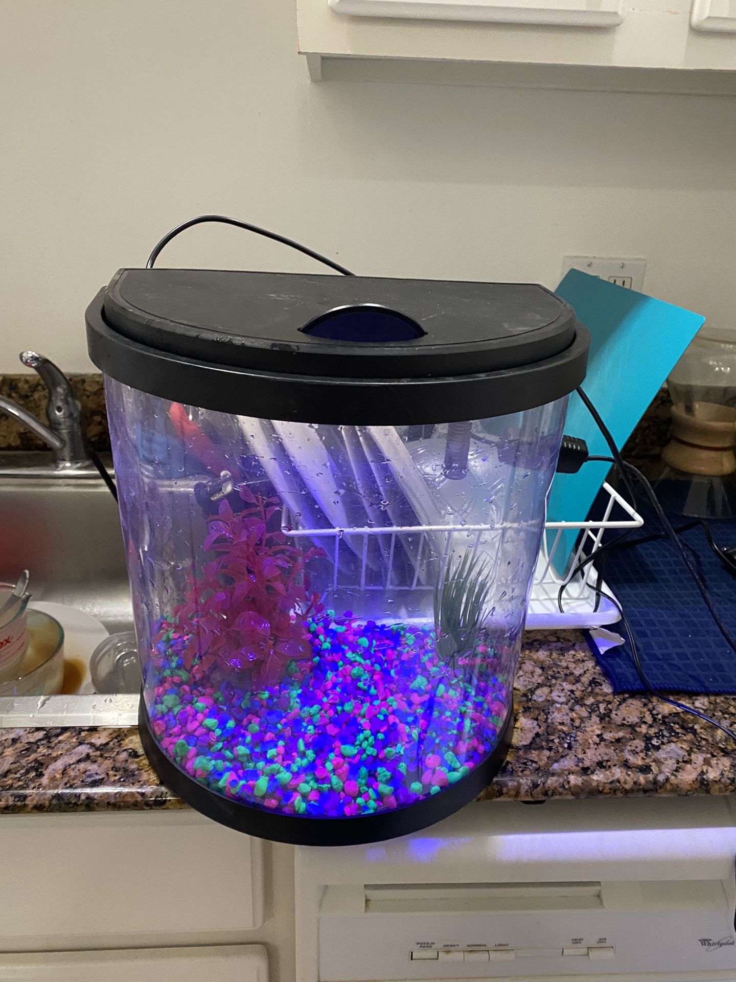 3.5 gallon top fish tank