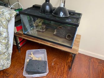 reptile terranium