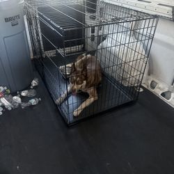 Dog Xxl Heavy duty Crate