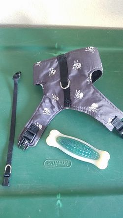 Dog harness, collar and chew toy