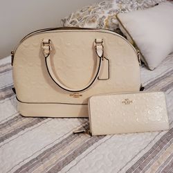 Coach And Wallet Handbag