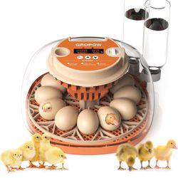 12 Egg Incubator, Automatic Turning with Temperature & Humidity Control, Egg Candler, 360 View with Air Vent, Auto Water Bottle Refill, Chicken Incuba