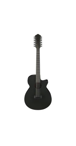 Ibanez AEG1221 AEG 12-String Acoustic Electric Guitar - Black Out