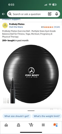 Pregnancy Yoga Ball 