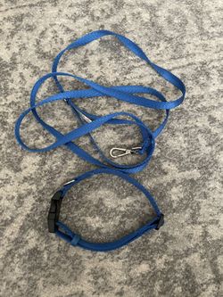 Small Dog Leash And Collar