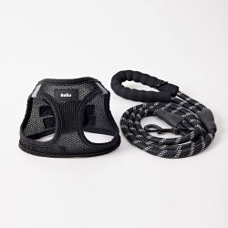 No Pull Dog Harness with Leash 