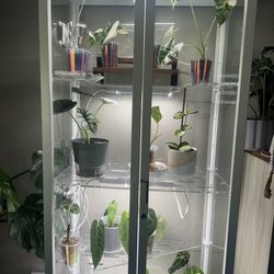 IKEA Milsbo Greenhouse Cabinet – Plant Setup w/ Lights & Accessories