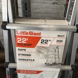 Ladder 22 Ft 