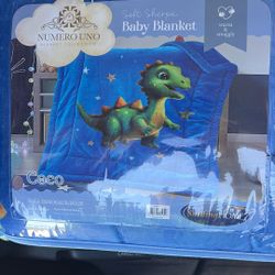 Dinosaur/blue Baby Blanket