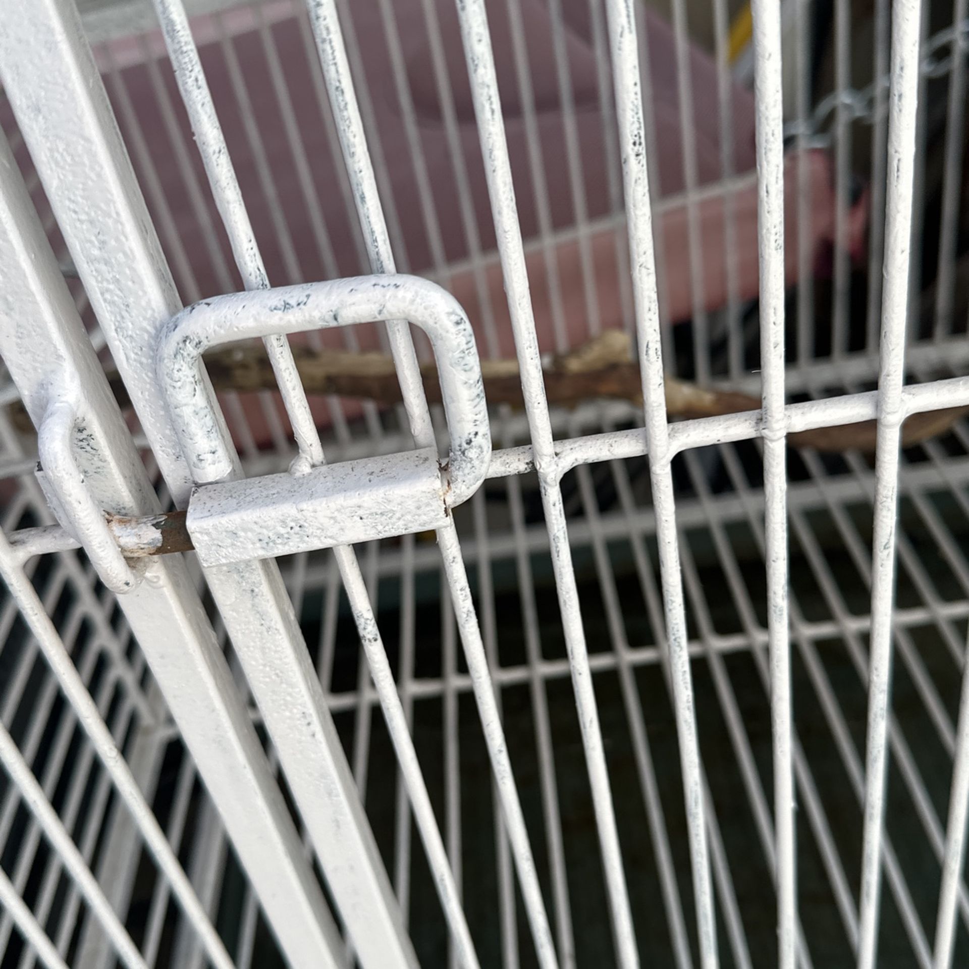 Jaula De Metal 100.00