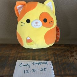 Hard To Find squishmallows 