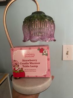 Strawberry shortcake candle warmer