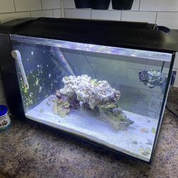 Fluval 13.5 Saltwater Tank